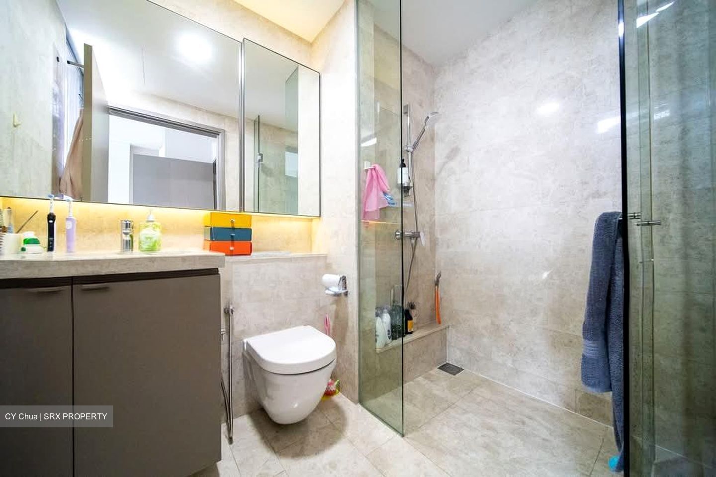 Riversails (D19), Condominium #579929151
